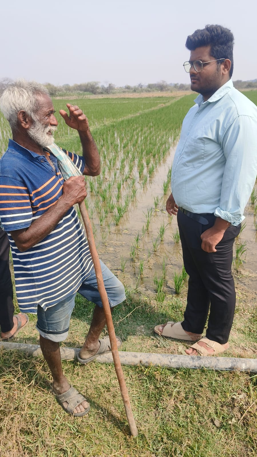 Farmer Pointing at Field